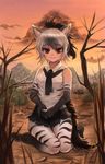  aardwolf_(kemono_friends) aardwolf_ears aardwolf_tail animal_ears animal_print bangs bare_shoulders black_hair blurry blurry_foreground breast_pocket brown_eyes bug closed_mouth cloud commentary_request depth_of_field dokomon elbow_gloves eyebrows_visible_through_hair full_body gloves high_ponytail insect kemono_friends korean_commentary long_hair looking_at_viewer multicolored_hair necktie no_shoes orange_sky outdoors pantyhose pantyhose_under_shorts pocket ponytail print_gloves print_legwear seiza shirt shorts silver_hair sitting sky sleeveless sleeveless_shirt smile star_(sky) starry_sky tail termite twilight two-tone_hair 