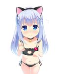  animal_ears bare_shoulders bell bell_collar blue_eyes blush breasts cat_cutout cat_ear_panties cat_ears cat_lingerie collar collarbone commentary_request fake_animal_ears flying_sweatdrops foreshortening gaou gochuumon_wa_usagi_desu_ka? hairband heart kafuu_chino long_hair looking_at_viewer meme_attire name_tag panties paw_pose purple_hair side-tie_panties simple_background small_breasts solo standing underwear white_background 
