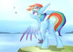  2018 butt cutie_mark day detailed_background digital_media_(artwork) dock equine eyewear feathered_wings feathers female feral friendship_is_magic goggles grass hair hooves mammal mistydash multicolored_hair my_little_pony outside pegasus purple_eyes rainbow_dash_(mlp) rainbow_hair silhouette solo solo_focus standing stanidng wings 