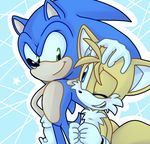  anthro black_nose blue_eyes canine clothing duo fox fur gloves green_eyes hedgehog male mammal miles_prower smile sonic_(series) sonic_the_hedgehog sonicschilidog video_games white_fur yellow_fur 