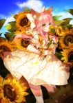  alternate_costume animal_ears bare_shoulders bow breasts casual cleavage collarbone fate/grand_order fate_(series) flower fox_ears fox_tail hair_bow hair_ribbon highres large_breasts looking_at_viewer outdoors pink_hair ribbon sky solo sunflower tail tamamo_(fate)_(all) tamamo_no_mae_(fate) thighhighs vieny yellow_eyes yellow_legwear 