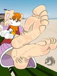  2018 5_toes anthro big_breasts breasts clothed clothing digital_media_(artwork) feet female foot_focus fur humanoid_feet raycaliban smile soles solo sonic_(series) toes vanilla_the_rabbit wrinkled wrinkled_soles 