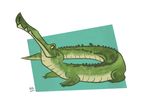  2014 alligator crocodile crocodilian digital_drawing_(artwork) digital_media_(artwork) feral green_scales long_tail looking_up reptile rz250 scales scalie signature simple_background slit_pupils solo white_background yellow_sclera 