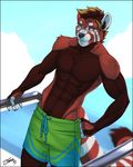  2018 5_fingers abs anthro biceps blurred_background body_hair brown_nose chest_hair clothing cloud day eyebrows feralise fur glass hair hand_on_hip looking_at_viewer male mammal markings multicolored_fur muscular muscular_male orange_hair pose red_fur red_hair red_panda red_skin sea silver_eyes sky solo standing swimming_trunks swimsuit two_tone_fur water white_fur 