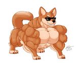  biceps canine claws d12_izoroark dog eyewear feral fur glasses huge_muscles male mammal meme muscular nude pecs rags_(youtuber) shiba_inu simple_background smile solo standing teeth white_background 