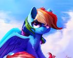  2018 ambiguous_gender equine feathered_wings feathers feral friendship_is_magic fur hair hi_res looking_at_viewer mammal miokomata multicolored_hair my_little_pony outside pegasus rainbow_dash_(mlp) rainbow_hair smile solo wings 
