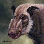  2017 acrylic_painting_(artwork) ambiguous_gender brown_background brown_eyes brown_fur brown_nose brown_theme bushpig detailed detailed_fur ear_tuft feral fur fur_tuft headshot_portrait inner_ear_fluff lighting mammal painting_(artwork) photorealism pig_nose porcine portrait river_pig shadow signature simple_background snout solo suina teeth traditional_media_(artwork) tuft tusks willemsvdmerwe yellow_teeth 