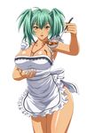  ikkitousen ryofu_housen tagme 