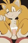  canine censored fox fridge_(artist) male mammal miles_prower penis solo sonic_(series) tagme 