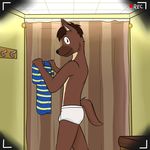  anthro blue_shirt briefs bulge canine clothing dog fitting_room fuze inside male mammal solo striped_shirt tighty_whities underwear white_underwear 