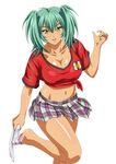  ikkitousen ryofu_housen tagme 