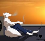  2014 4_toes 5_fingers anthro arctic_fox black_nose brown_eyes canine cigarette clothed clothing egsaku fluffy fluffy_tail fox fur hair looking_down male mammal pants roof rooftop side_view sitting skinny smoking solo toes topless white_fur white_hair 