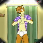  anthro blue_shirt briefs bulge canine clothing dress_shirt fitting_room fox fuze inside male mammal patterned_shirt shirt solo tighty_whities underwear white_underwear 