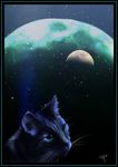 2009 ambiguous_gender aurora_borealis cat domestic_cat feline feral fur glowing glowing_eyes green_eyes grey_fur looking_at_viewer mammal moon novawuff planet portrait solo space spacescape star whiskers 
