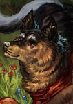 2017 black_fur brown_fur canine day digital_media_(artwork) dog ear_piercing feral fur grass mammal outside pennawings piercing red_eyes solo tan_fur 