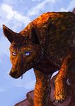  2017 blue_eyes canine coyote day digital_media_(artwork) digital_painting_(artwork) feral hybrid mammal outside pennawings sky solo standing 