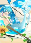  animal_ears ball beachball bikini blue_eyes blue_hair blue_sky breasts cloud cup day flower full_body green_eyes groin head_fins highres in_container in_cup looking_at_viewer medium_breasts mermaid monster_girl open_mouth outdoors radiosity_(yousei) short_hair sky solo sunflower swimsuit touhou umbrella wakasagihime 