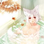  animal_ears bangs bathing breasts day eyebrows_visible_through_hair hands_up hat indoors inubashiri_momiji large_breasts leaf looking_at_viewer nude open_mouth partially_submerged red_eyes smile solo swimsuit touhou transpot_nonoko water white_hat wolf_ears 