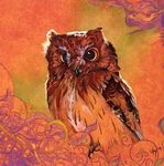  2009 abstract_background ambiguous_gender avian beak bird black_beak brown_feathers claws feathered_wings feathers feral looking_at_viewer novawuff orange_background orange_theme owl portrait simple_background solo textured_background wings yellow_eyes 
