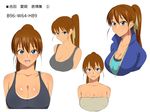  breasts brown_hair character_sheet cleavage commentary_request covered_nipples fang hair_ribbon high_ponytail highres kagemusha large_breasts long_hair looking_at_viewer measurements multiple_views original ribbon school_uniform smile tan tanline translation_request 