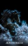  2010 ambiguous_gender black_background brown_fur brown_hair equine feral fur glowing hair horse looking_back mammal novawuff partially_submerged rear_view simple_background solo splash standing water 