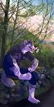  anthro blue_eyes canine clothed clothing doggadee invalid_tag mammal mountain paws wolf 