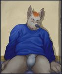  anthro black_nose briefs brown_hair canine clothing dog fur glitter_trap_boy grey_fur hair male mammal pubes solo sweater underwear 