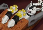  4_toes anthro black_fur bound canine claws feathers feet foot_fetish foot_focus fur grey_fur hands_behind_head invalid_tag lemurlemurovich loose_feather male mammal open_mouth pawpads paws sharp_teeth solo teeth toe_claws toes white_fur wolf yellow_eyes 