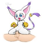  &lt;3 &lt;3_eyes 2017 anthro balls blue_eyes claws clitoris cum cum_drip cum_in_pussy cum_inside digimon digiphilia dripping drooling duo ejaculation erection faceless_male feline female flat_chested fur gatomon happy hi_res human human_on_anthro humanoid_penis interspecies kekitopu kneeling larger_male looking_down looking_pleasured male male/female male_penetrating mammal navel on_top open_mouth orgasm pawpads penetration penis pussy reverse_cowgirl_position saliva semi-anthro sex simple_background size_difference smaller_female solo_focus spread_legs spreading teeth tongue tongue_out vaginal vaginal_penetration white_background white_fur 