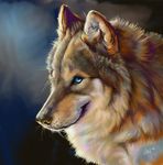  2010 abstract_background ambiguous_gender black_nose blue_eyes brown_fur canine feral fur grey_fur looking_at_viewer mammal novawuff portrait smile solo tan_fur white_fur wolf 