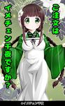  absurdres alternate_hairstyle ama_usa_an_uniform apron bangs blunt_bangs blush braid breasts brown_hair closed_mouth commentary_request eyebrows_visible_through_hair floral_background flower gochuumon_wa_usagi_desu_ka? green_background green_eyes green_kimono hair_flower hair_ornament hair_tie highres japanese_clothes kimono long_hair looking_at_viewer maid_apron medium_breasts pink_ribbon polka_dot_trim ribbon sidelocks sleeves_past_wrists smile solo standing striped striped_kimono translation_request twin_braids ujimatsu_chiya white_apron white_flower wide_sleeves zebrablack 