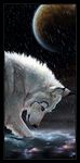  2010 ambiguous_gender black_markings blue_eyes canine detailed_background ear_tuft feral fur galaxy mammal markings novawuff partially_submerged planet portrait raining sky solo space spacescape standing tuft water white_fur wolf 