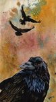  2010 abstract_background ambiguous_gender avian beak bird black_beak black_feathers brown_eyes corvid crow feathered_wings feathers feral flying group looking_back novawuff orange_theme raven tail_feathers traditional_media_(artwork) watercolor_(artwork) wings 