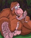  ape cumeating disney feet feetlicking jungle_book junglebook king_louie kinglouie licking louie louie_mammal mammal monkey orangutan pawlicking paws primate tongue tongue_out winserferret 