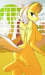  2015 absurd_res anthro anthrofied big_breasts blue_eyes breasts butt dock equine eyelashes feathered_wings feathers female friendship_is_magic fur hair hi_res mammal misty_(mlp) multicolored_hair my_little_pony nipples outside palm_tree patch_(artist) pegasus smile solo tree two_tone_hair wings wonderbolts_(mlp) yellow_fur 