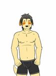  black_underwear boxer_briefs canine clothed clothing dog fuze kyouji_(morenatsu) mammal morenatsu simple_background topless underwear white_background 