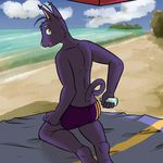  beach blue_sky clothing fuze male morenatsu purple_swimsuit seaside shin_(morenatsu) sky swimsuit water 