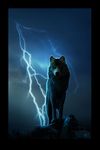  2012 ambiguous_gender black_fur black_nose canine detailed_background feral front_view fur lightning looking_at_viewer mammal night novawuff orange_eyes outside portrait pose rock solo standing tan_fur wolf 