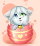  cat cute egg feline fur hair hashimoto-chan heterochromia mammal sashatf white_fur white_hair 