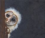  2012 ambiguous_gender avian barn_owl beak bird brown_eyes brown_feathers cub feathers feral grey_background hiding leaning looking_at_viewer novawuff owl portrait simple_background solo white_feathers young 