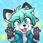  2017 anthro black_fur canine clothed clothing cool_colors digital_drawing_(artwork) digital_media_(artwork) feline flat_colors fox fur green_eyes green_hair hair happy hoodie hybrid icon jacket kourii_raiko male mammal mary_(thatwildmary) open_hoodie pawpads pose raised_arm short_hair smile solo standing star tiger toony white_fur young 
