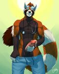  2018 anthro balls black_fur bomber_panda clothed clothing erection eyewear feralise fur goggles male mammal masturbation orange_fur penile_masturbation penis precum red_panda solo stethoscope topless 