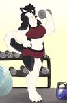 anthro blue_eyes canine chest_tuft dog exercise fluffy gym malamute mammal muscular nika_(extremedash) tuft workout zamzi 