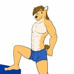  anthro barefoot black_nose blue_underwear brown_hair bulge canine clothed clothing coyote digital_media_(artwork) fuze hair happy male mammal mond_reyes simple_background smile solo topless underwear white_background 