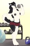  anthro big_breasts black_nipples blue_eyes breasts canine chest_tuft clothed clothing dog exercise female fluffy gym malamute mammal muscular nika_(extremedash) nipples topless tuft workout zamzi 