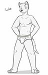  anthro barefoot briefs bulge canine character_name clothed clothing fuze luke_(fuze) male mammal navel nipples simple_background texnatsu tighty_whities topless underwear white_background white_underwear 