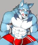  2018 abs anthro biceps black_nose canine clothing fur ginnosuke hi_res male mammal muscular muscular_male pecs simple_background tongue underwear wolf 