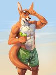  abs beach beverage blue_eyes clothed clothing eyewear food fruit glasses kangaroo lime male mammal marsupial muscular open_mouth outside seaside shorts solaxe_(artist) solo standing swimming_trunks swimsuit topless water 