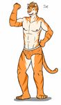  anthro bulge character_name clothed clothing feline fuze joe_(fuze) male mammal muscular muscular_male solo texnatsu tiger topless underwear 