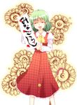  :d ascot blood calligraphy closed_eyes closed_umbrella flower green_hair highres kairakuen_umenoka kazami_yuuka long_skirt open_mouth plaid plaid_skirt plaid_vest red_skirt short_hair simple_background skirt skirt_set smile solo sunflower touhou umbrella vest white_background 